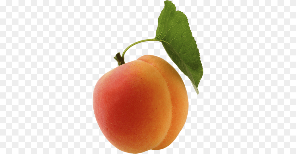 Apricot, Food, Fruit, Plant, Produce Png