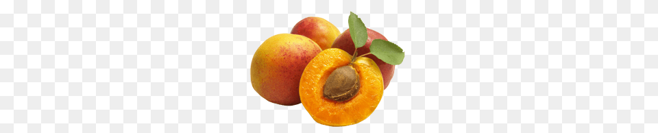 Apricot, Food, Fruit, Plant, Produce Free Transparent Png