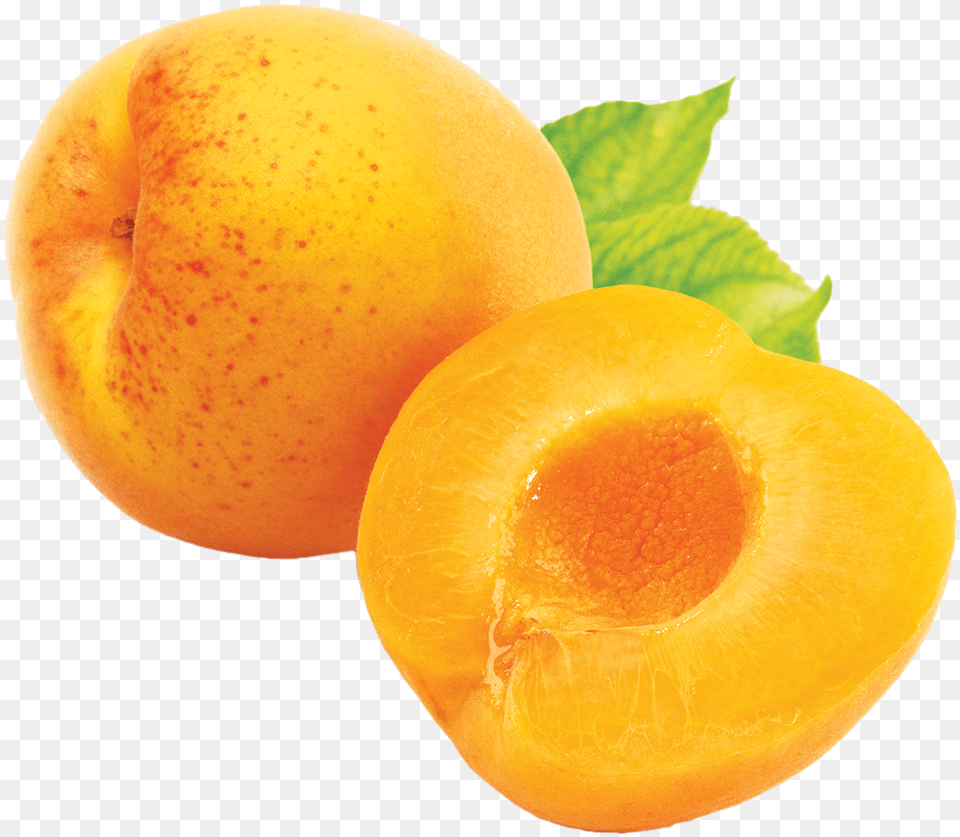 Apricot, Food, Fruit, Plant, Produce Free Transparent Png