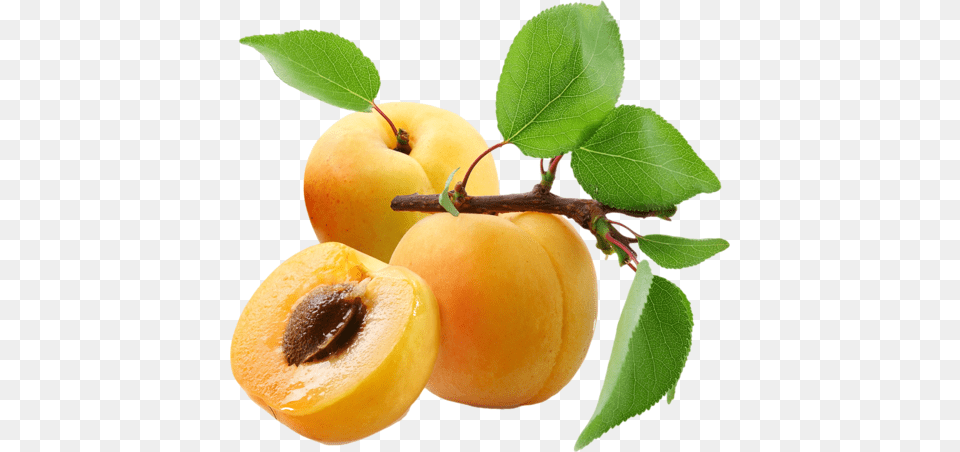 Apricot, Food, Fruit, Plant, Produce Png Image