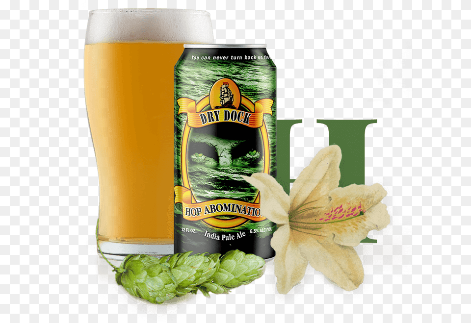 Apricot Ale Dry Dock Brewing Co, Alcohol, Beer, Beverage, Glass Png Image