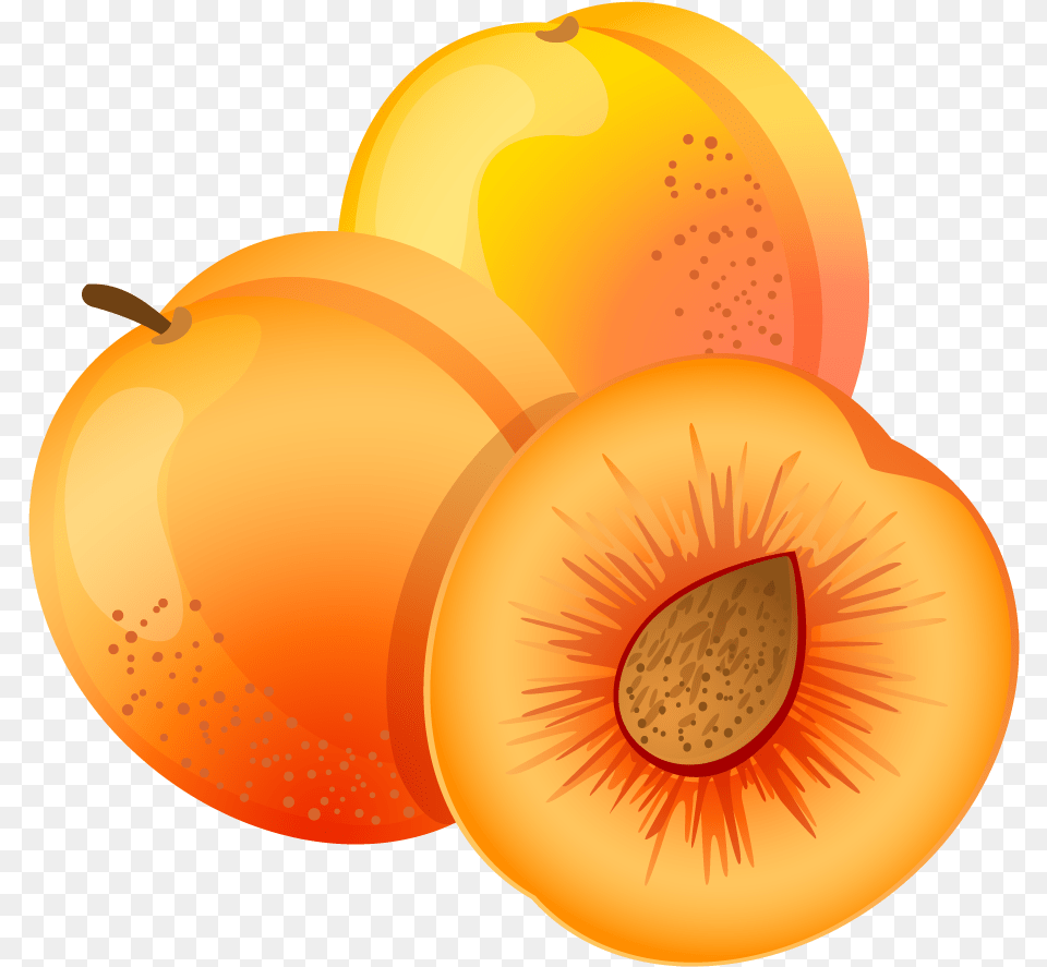 Apricot Apricot Clipart, Produce, Plant, Food, Fruit Free Transparent Png