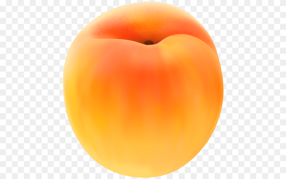 Apricot Clip Art Image Apricot Clipart, Produce, Food, Fruit, Plant Free Png Download