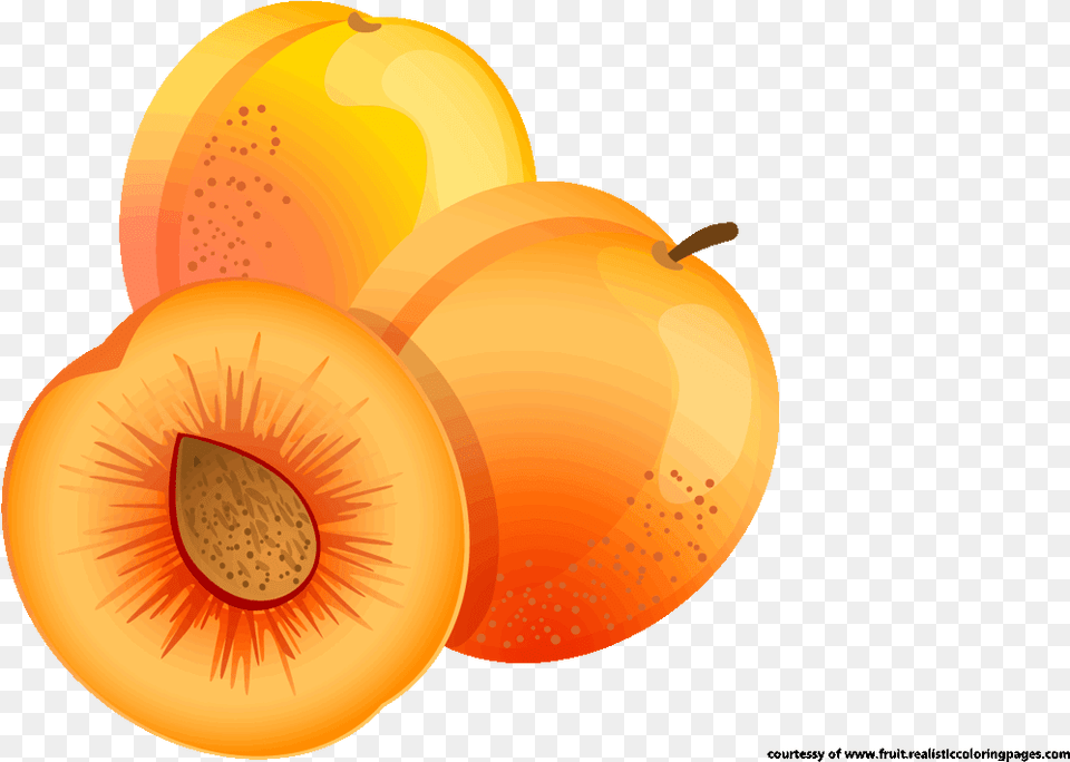 Apricot Clipart, Produce, Plant, Food, Fruit Free Png