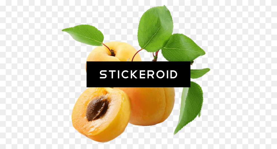 Apricot Clipart, Food, Fruit, Plant, Produce Png