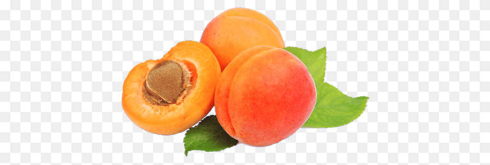 Apricot Download Arts, Food, Fruit, Plant, Produce Free Png