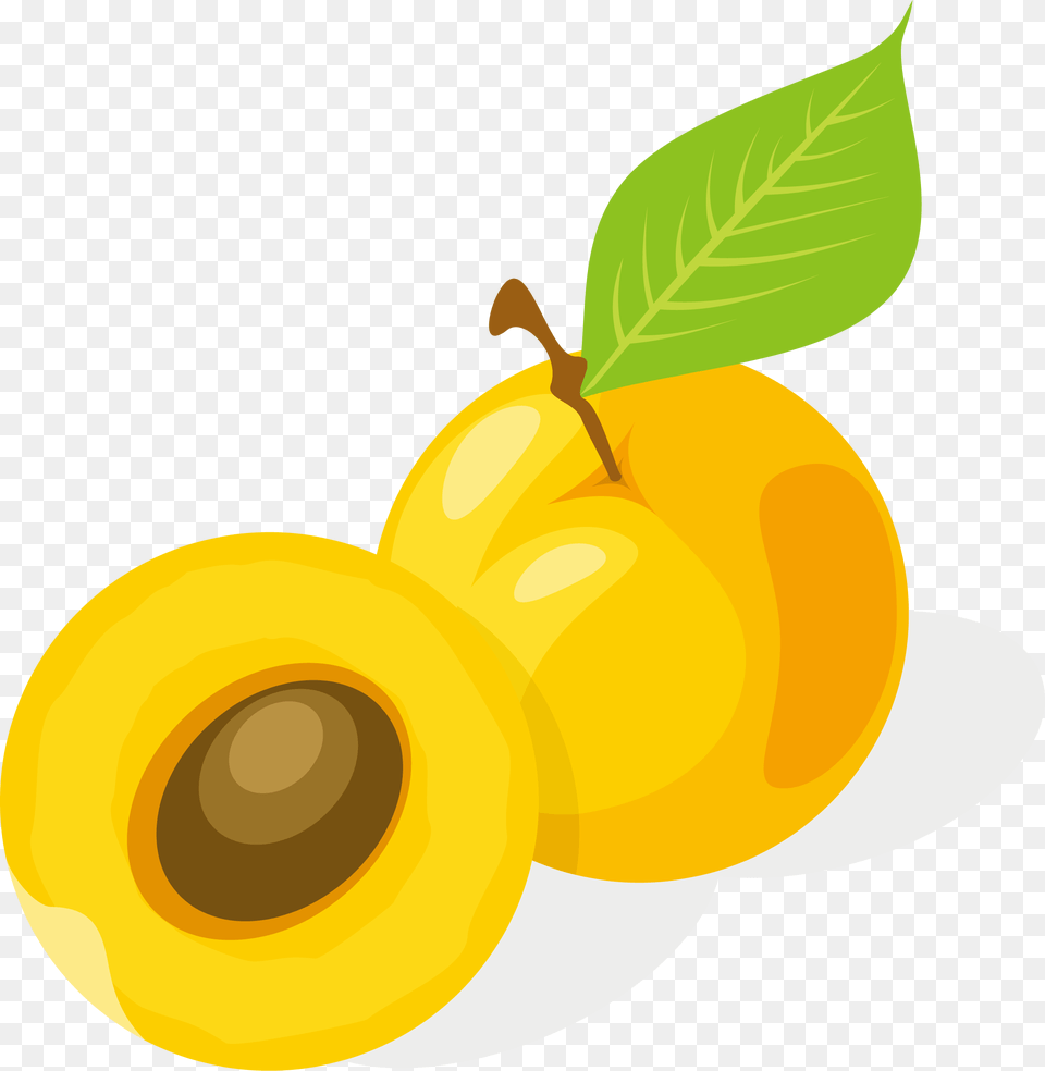 Apricot Drawing Fruit Cartoon Apricot, Food, Plant, Produce Png Image
