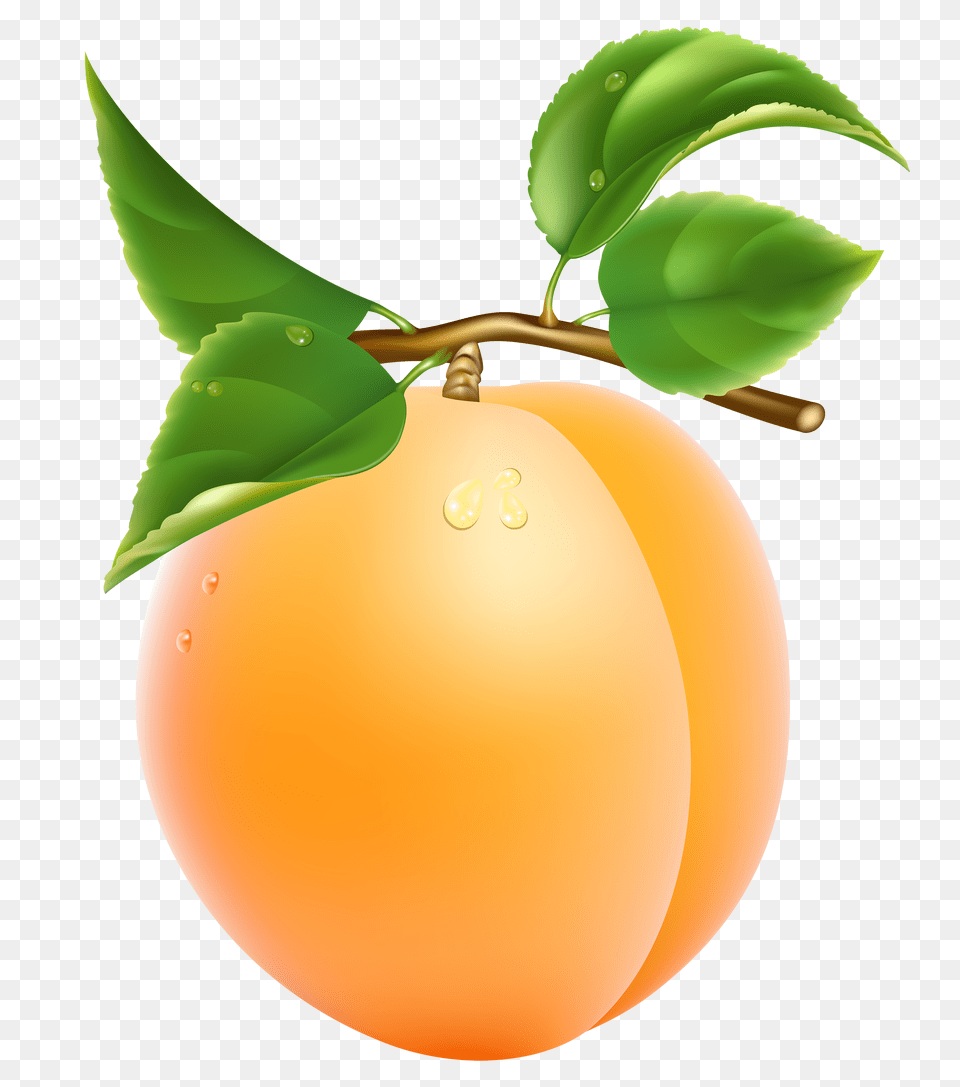 Apricot Apricot Clipart, Plant, Food, Fruit, Produce Png Image