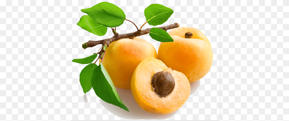 Apricot Open Image Arts Peach Kernel Carrier Oil, Food, Fruit, Plant, Produce Png