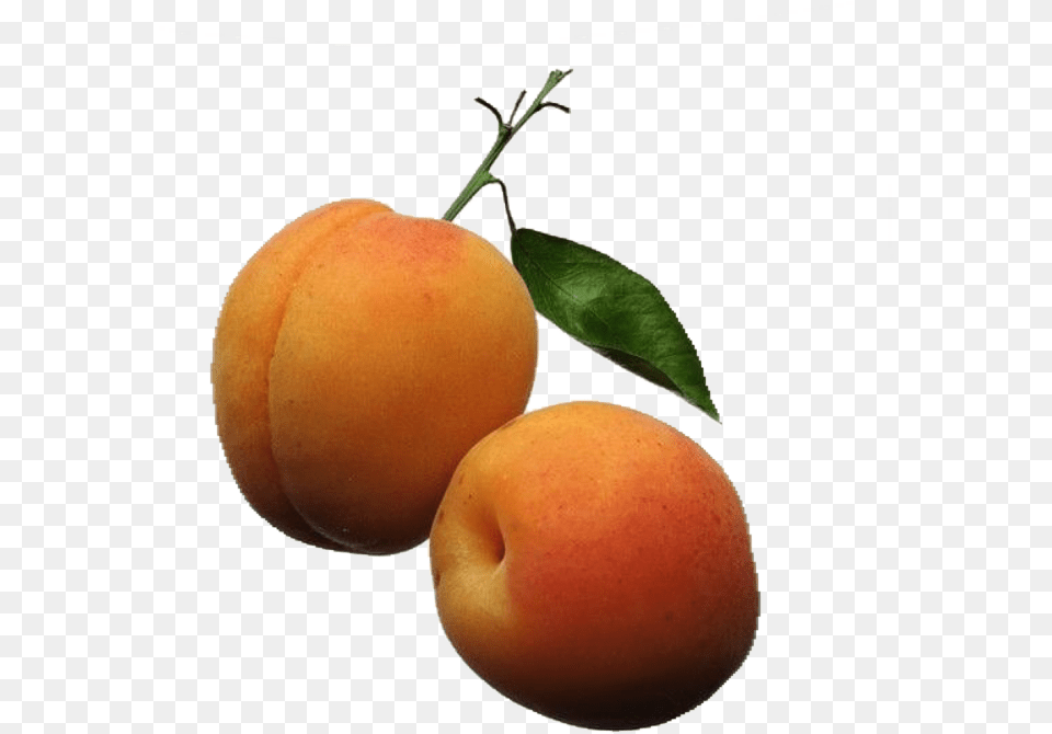 Apricot Orange Color Fruits, Food, Fruit, Plant, Produce Free Png Download