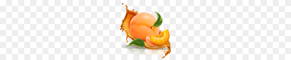 Apricot Photo Images And Clipart Freepngimg, Food, Fruit, Plant, Produce Free Transparent Png