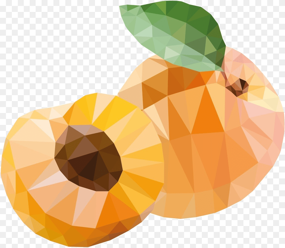 Apricot Stone, Food, Fruit, Plant, Produce Free Transparent Png