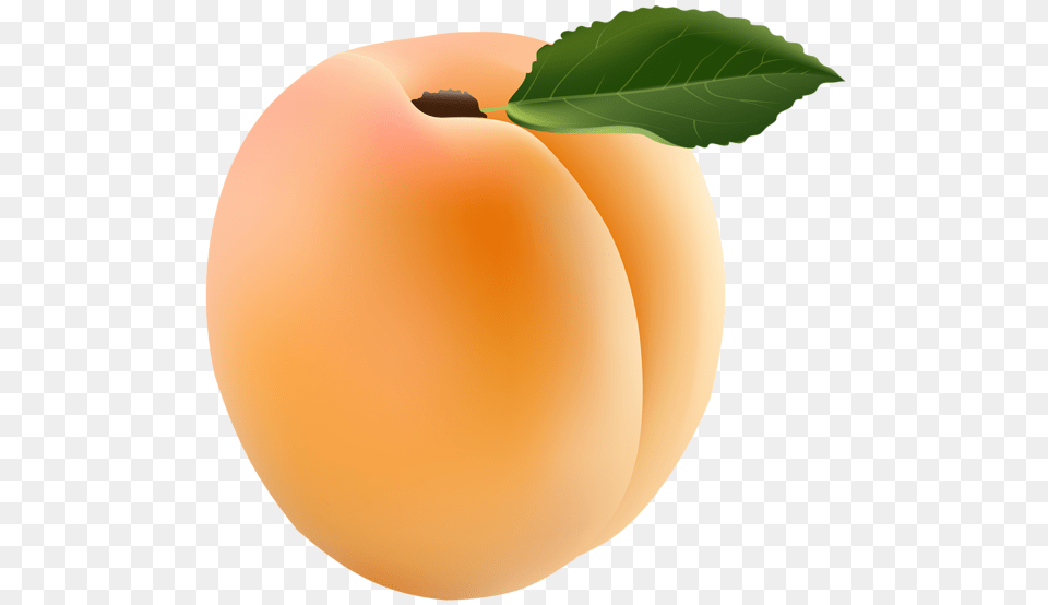 Apricot Clip Art, Food, Fruit, Plant, Produce Free Transparent Png