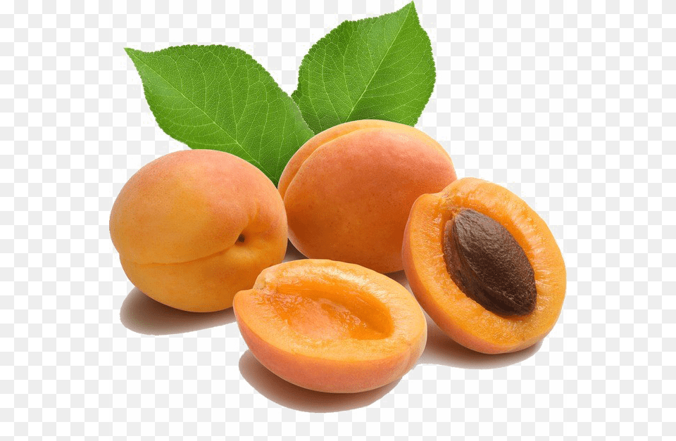 Apricot Transparent Image Arts, Food, Fruit, Plant, Produce Free Png