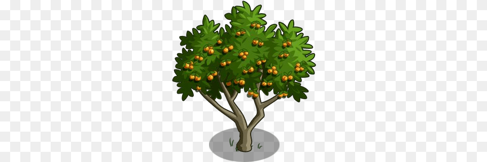 Apricot Tree 100 Icon Christmas Tree, Vegetation, Plant, Green, Woodland Free Png Download