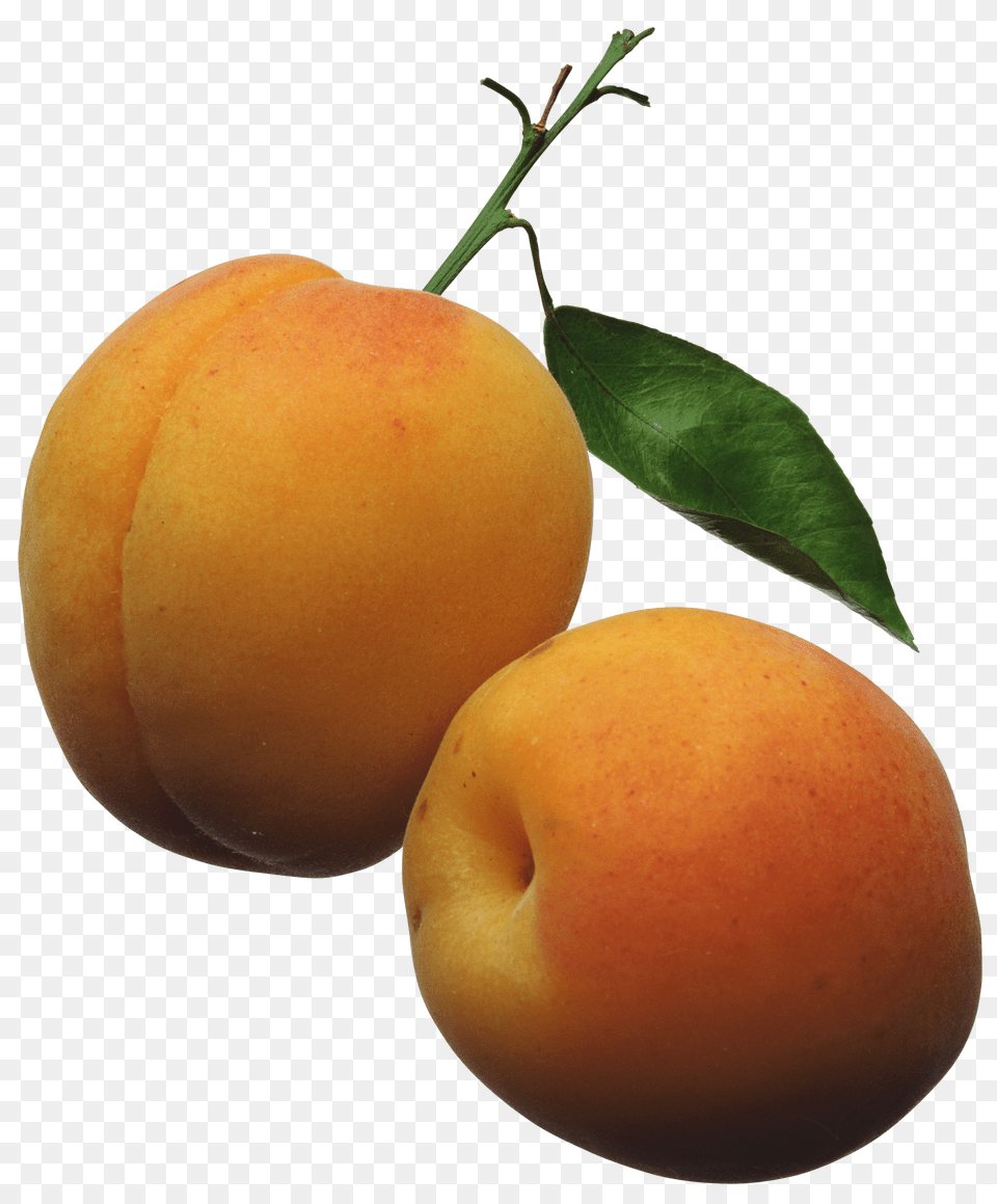 Apricots Clipart Picture Ovoce A Zelenina Clip, Food, Fruit, Plant, Produce Png Image