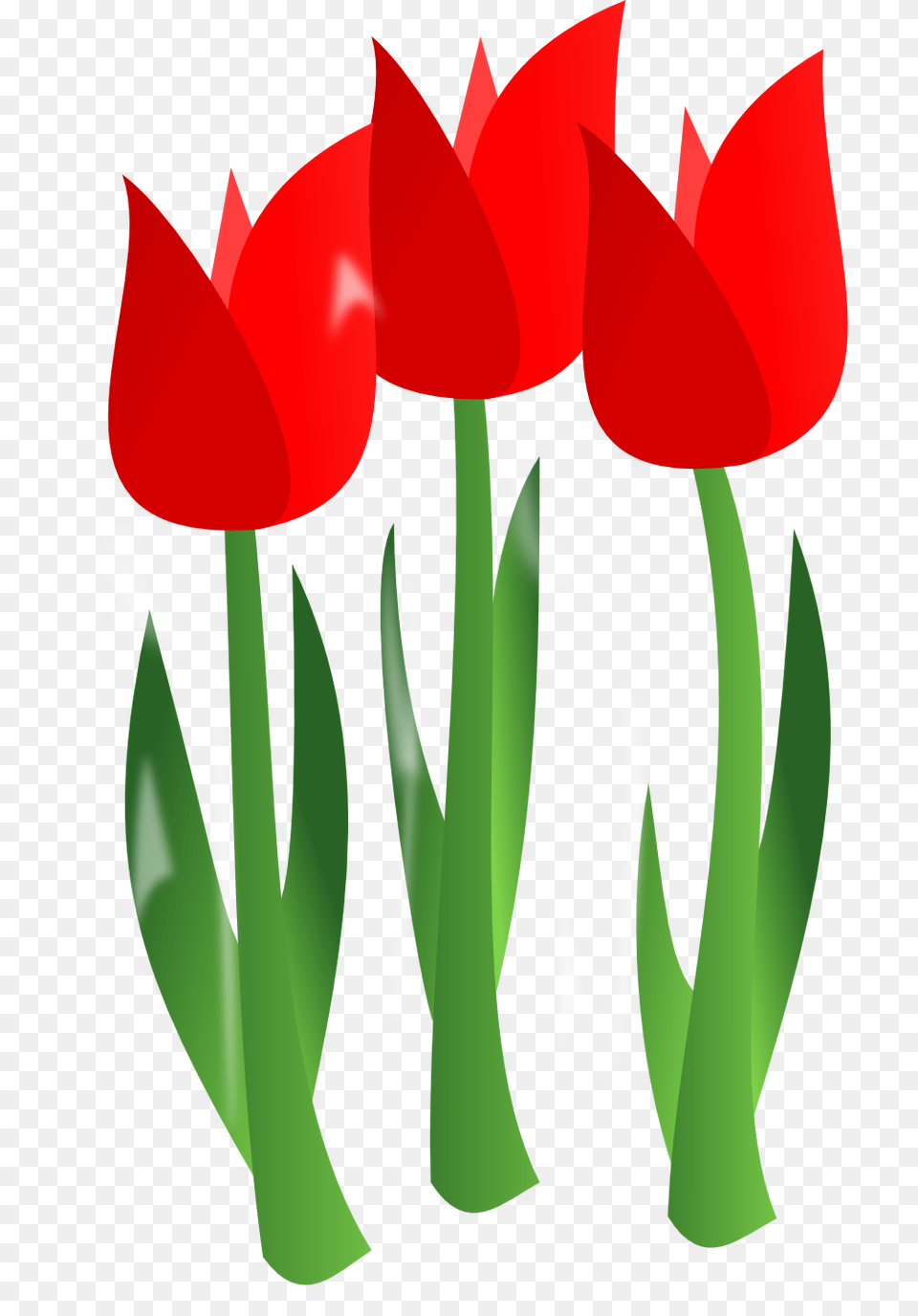 April Clip Art, Flower, Plant, Tulip Png