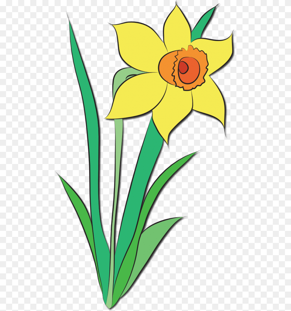 April Clip Art, Daffodil, Flower, Plant Free Transparent Png