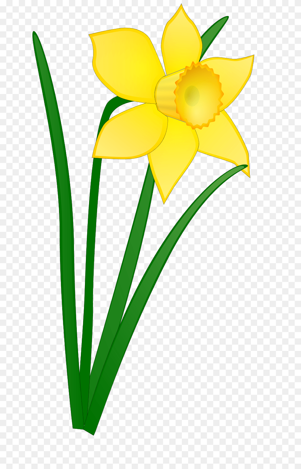 April Clip Art, Daffodil, Flower, Plant, Person Free Transparent Png