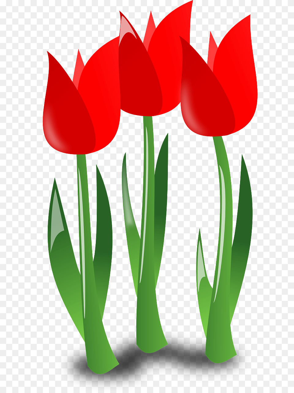 April Flowers Clip Art, Flower, Plant, Tulip Png Image