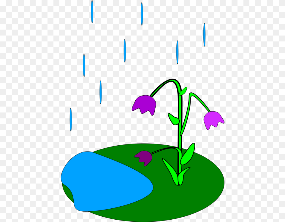 April Shower Animation Download Drawing Cartoon, Art, Flower, Graphics, Plant Png
