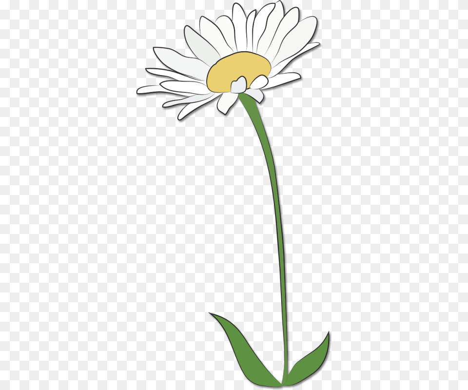 April Showers Bring May Flowers Clip Art, Daisy, Flower, Plant Free Png Download