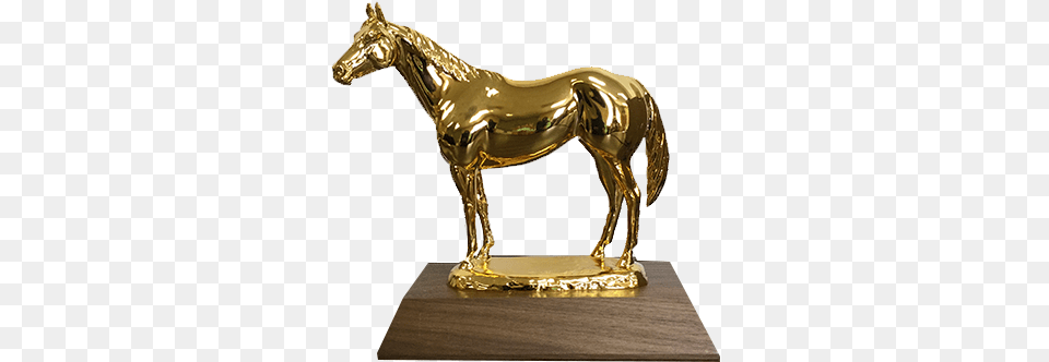 Aqha Level 1 Gold Trophy Silver, Bronze, Animal, Horse, Mammal Free Transparent Png