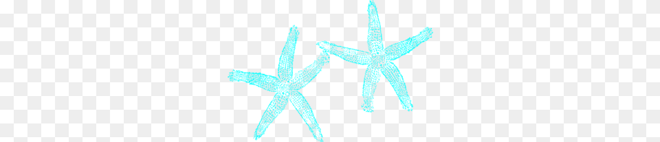 Aqua Blue Starfish Clip Art Printables Starfish, Animal, Sea Life, Invertebrate, Person Free Png