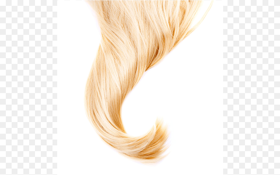 Aqua Hair Blond, Blonde, Person, Adult, Female Free Png