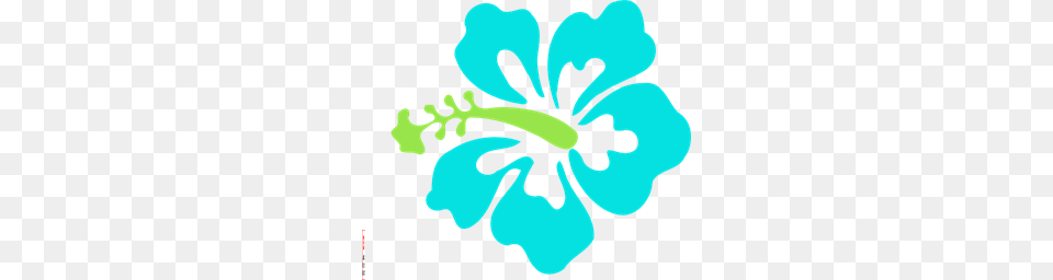 Aqua Hibiscus Clip Arts For Web, Flower, Plant, Person Free Png Download