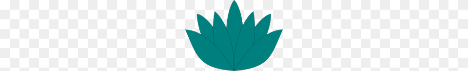 Aqua Lotus Flower Clip Art For Web, Leaf, Plant, Astronomy, Moon Png