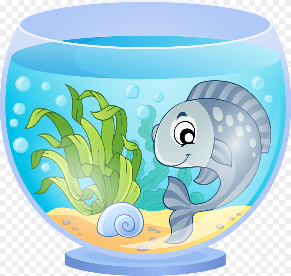 Aquarium, Animal, Fish, Sea Life, Water Png Image