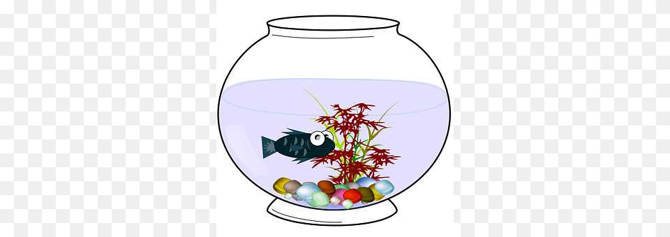 Aquarium Animal, Fish, Sea Life, Water Png Image