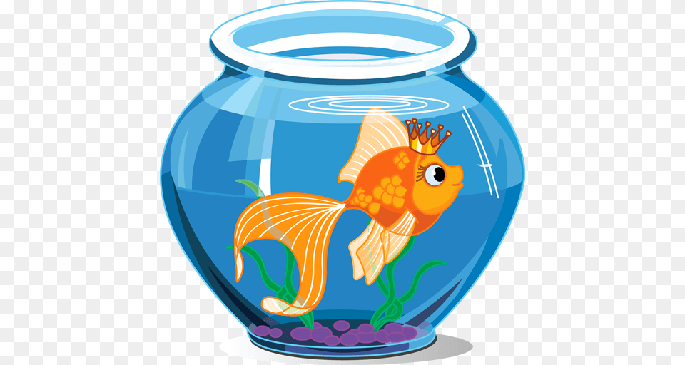 Aquarium, Animal, Fish, Sea Life, Goldfish Png Image