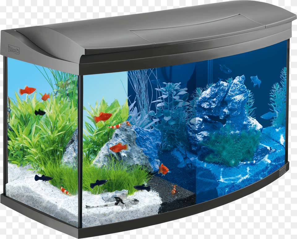 Aquarium Free Png Download