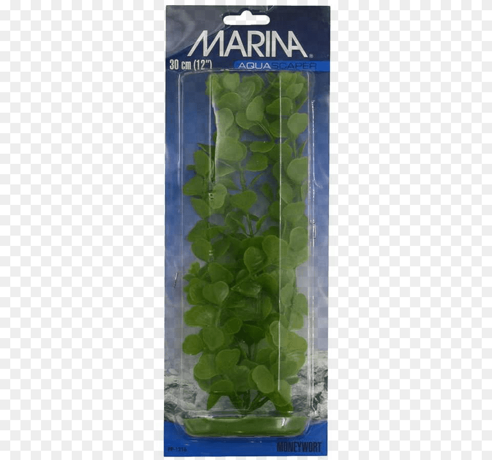 Aquarium, Art, Painting, Person, Water Free Png Download