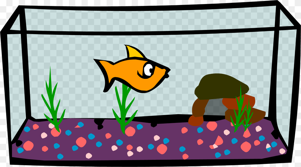 Aquarium, Animal, Fish, Sea Life, Water Png