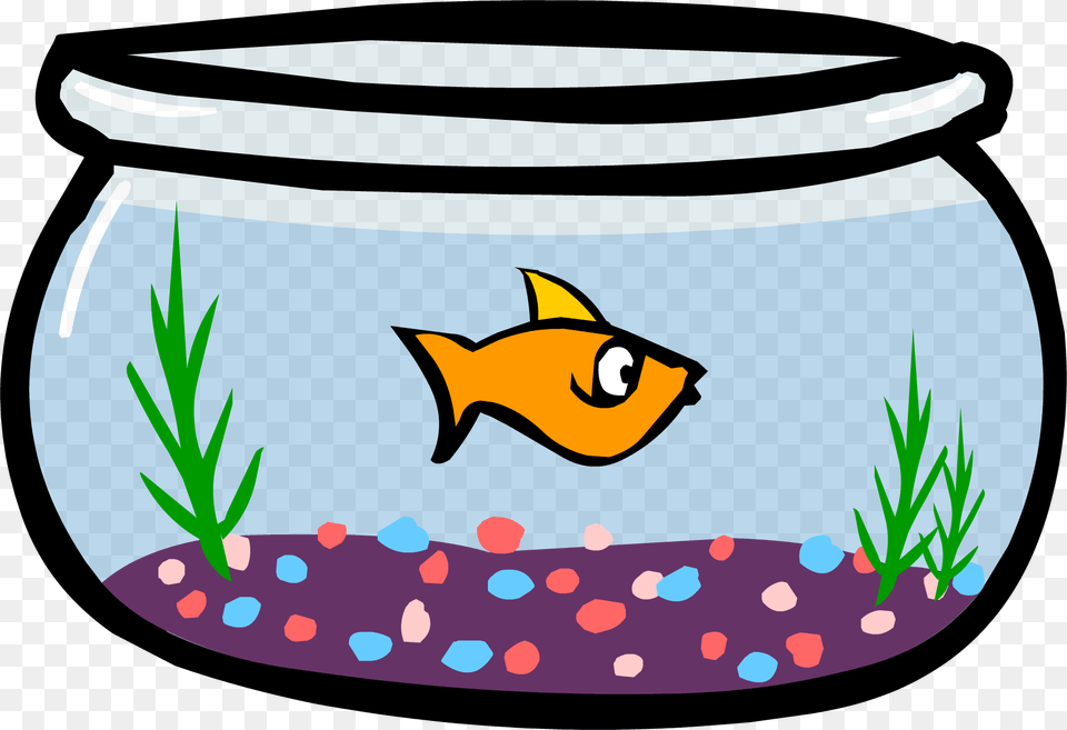 Aquarium, Animal, Fish, Sea Life, Water Free Png