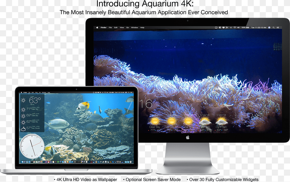 Aquarium 4k Live Wallpaper 10 1 Mac, Computer, Electronics, Water, Sea Png Image