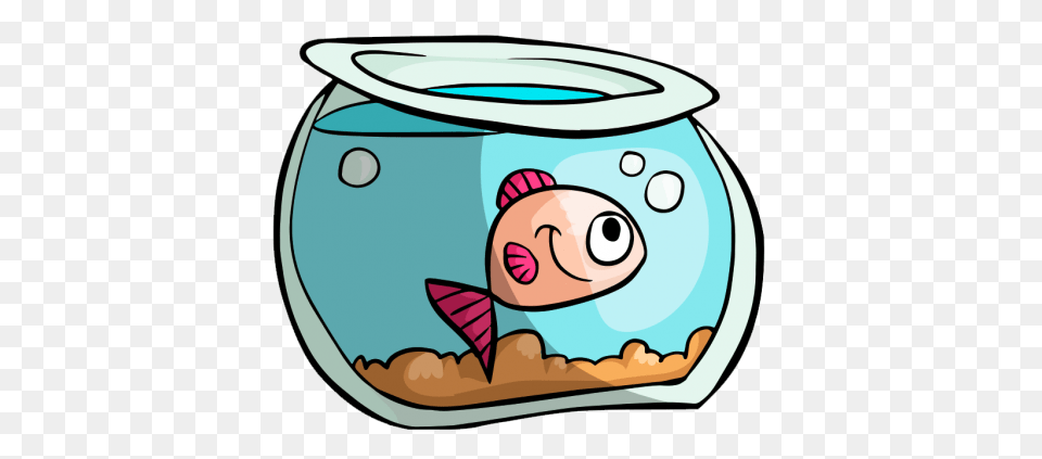 Aquarium, Water, Animal, Sea Life, Fish Free Png Download