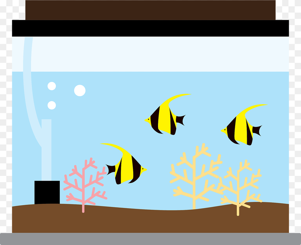 Aquarium Angelfish Clipart, Animal, Fish, Sea Life, Water Free Png Download