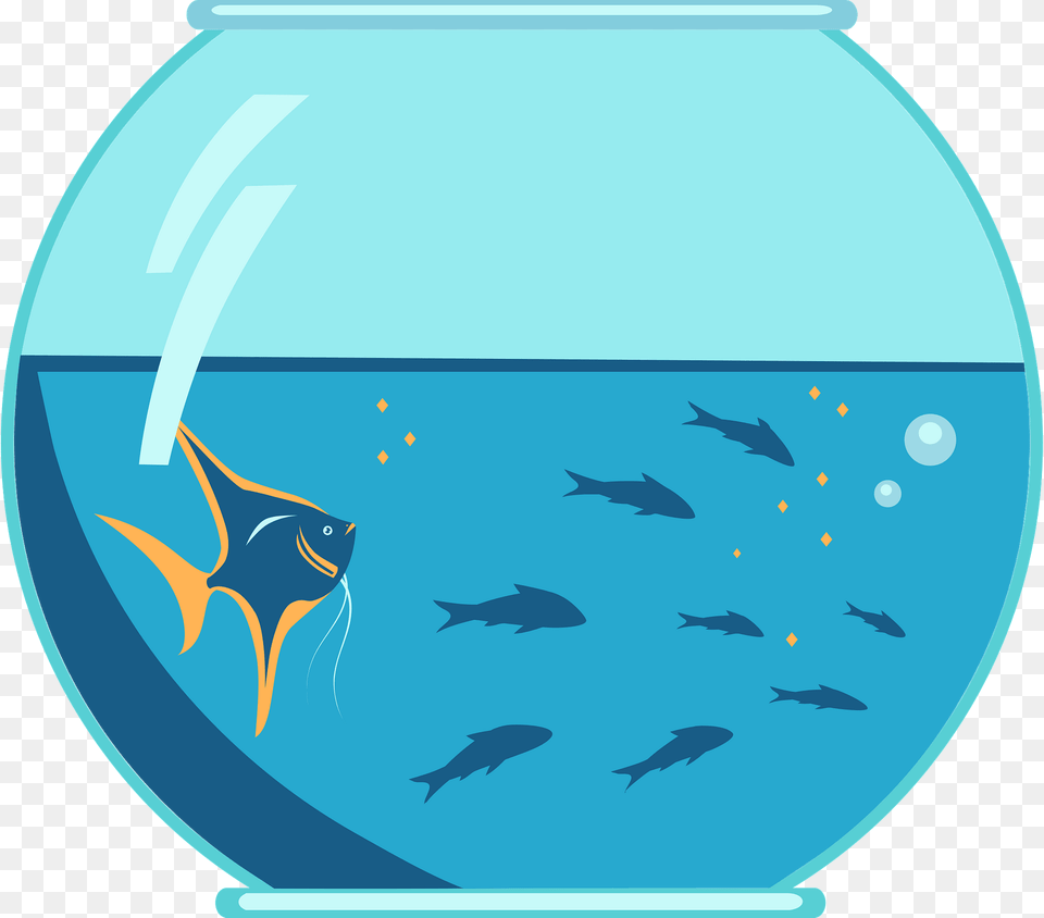 Aquarium Clipart, Animal, Fish, Sea Life, Water Png Image