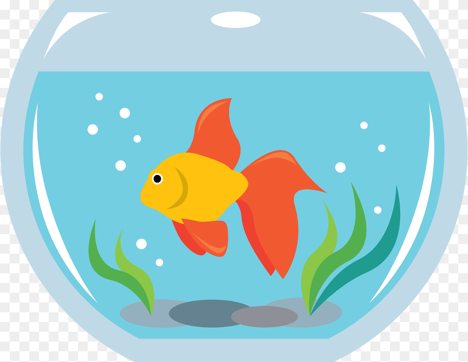 Aquarium Clipart, Animal, Sea Life, Fish, Goldfish Png Image