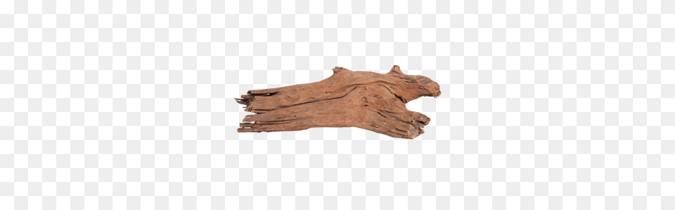 Aquarium Driftwood, Wood, Plant, Tree Free Png Download