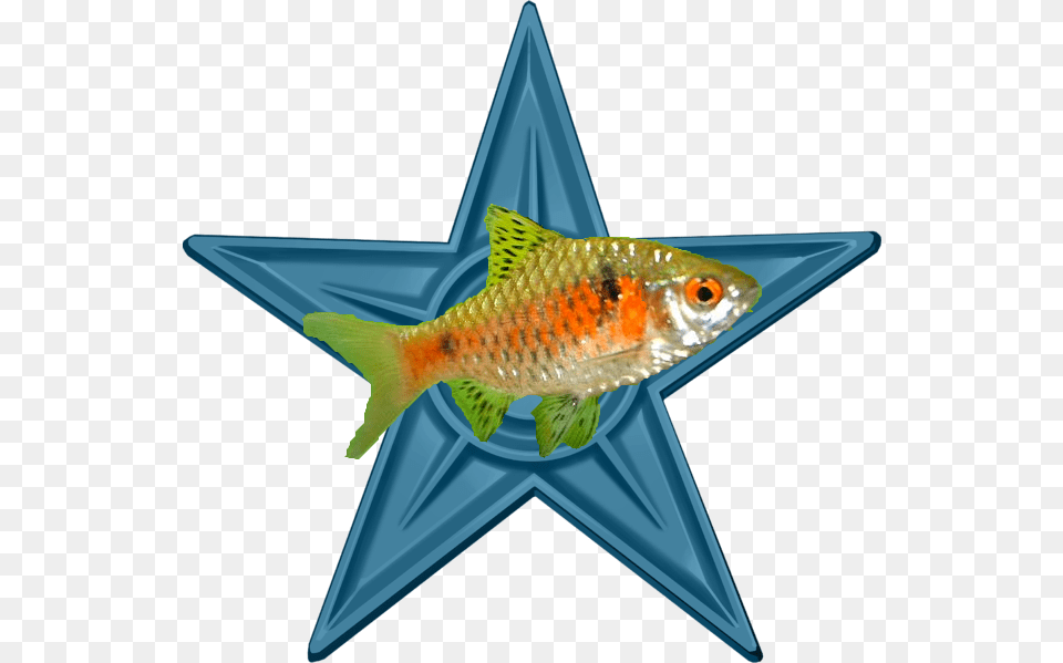Aquarium Fish Barnstar Video Game, Animal, Sea Life Free Png Download