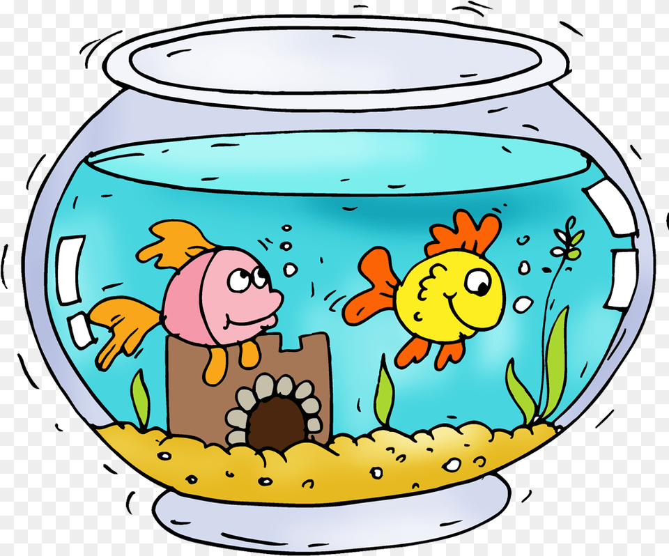 Aquarium Fish Cartoon Aquarium Clipart, Animal, Sea Life, Water, Head Png