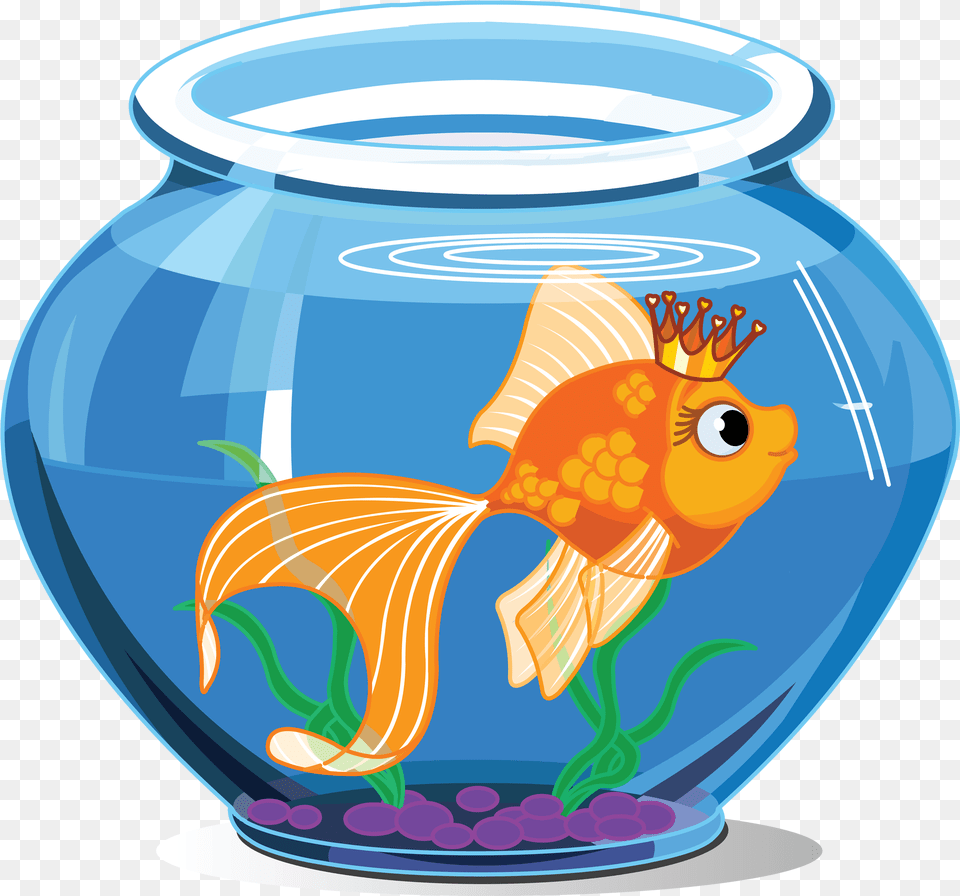 Aquarium Fish Inside The Aquarium, Animal, Sea Life, Goldfish Free Png Download