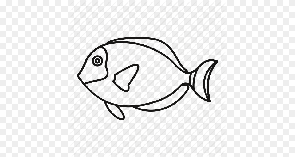 Aquarium Fish Line Marine Outline Saltwater Tropical Icon, Accessories, Glasses Png