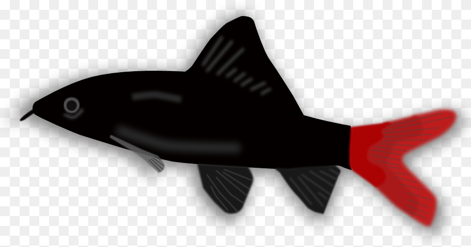 Aquarium Fish Small Black And Red Fish, Animal, Sea Life, Smoke Pipe Free Png Download