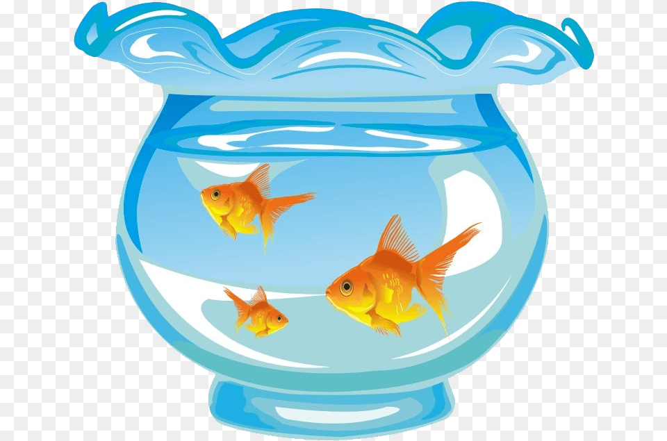 Aquarium Fish Tank Cartoon Fish In Tank Cartoon, Animal, Sea Life, Goldfish Free Png Download